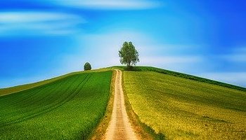 Energie update Rode Hemelwandelaar levenspad 27 maart - 8 april 2023: Nieuwe wegen bewandelen